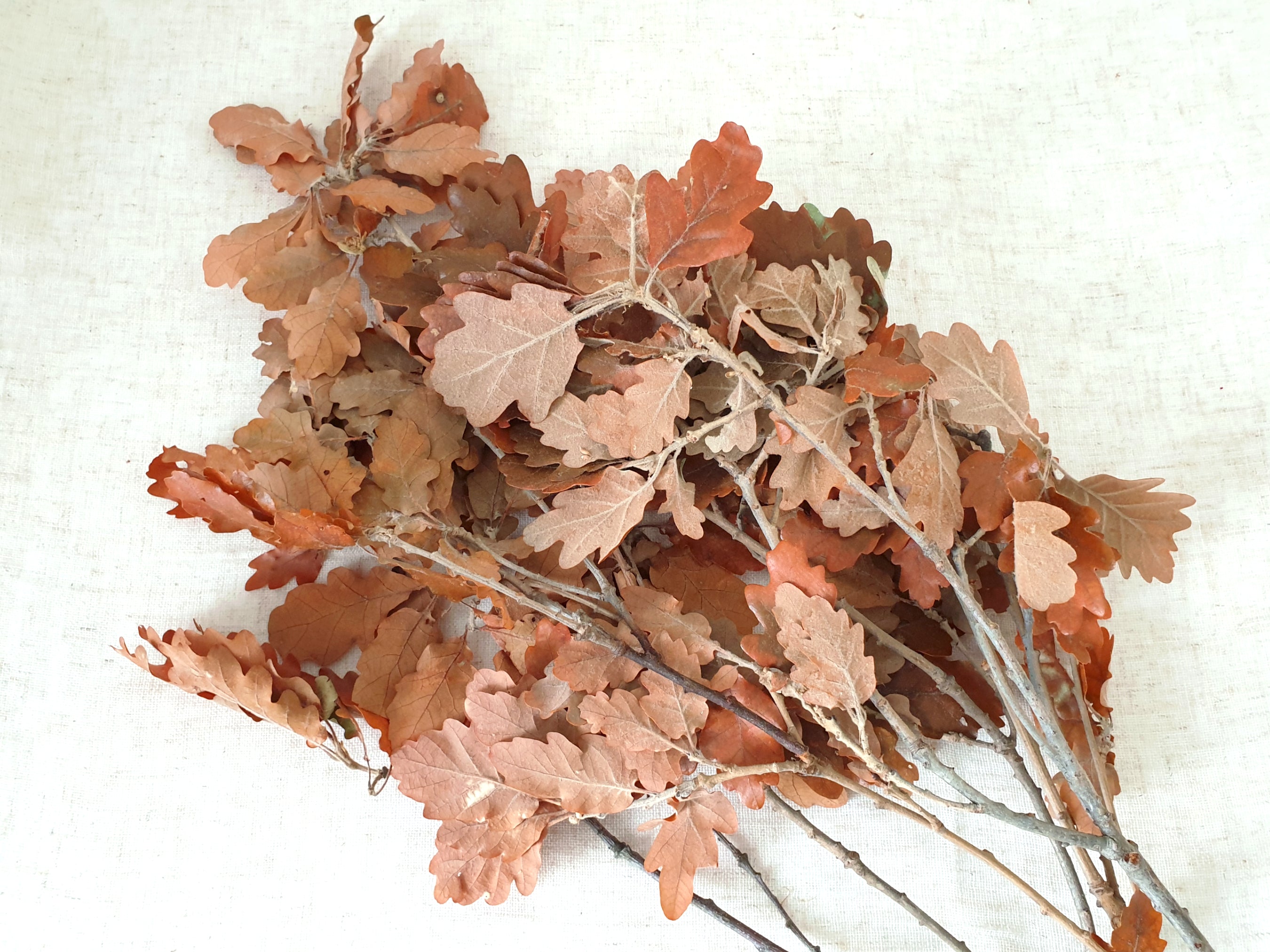 Bundle - Oak Leaf / Orange by Jangneus
